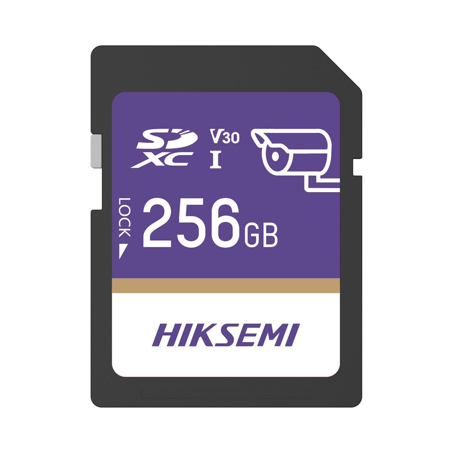 Memoria SD Clase 10 de 256 GB / Especial Videovigilancia